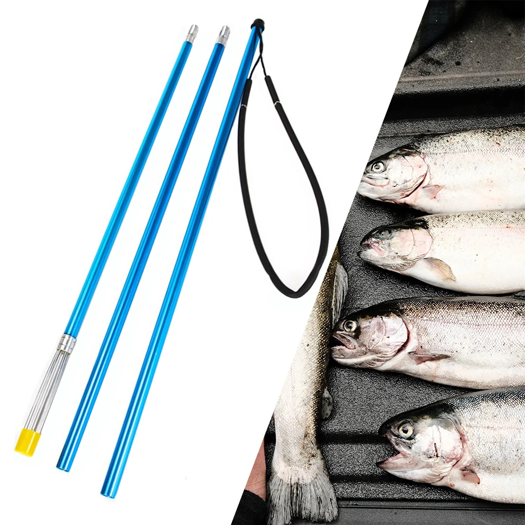 Harpon Peche Sous Marine Fish Spear Frog Spear Fishing Harpoon