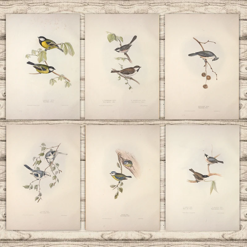 Buyuk Sombre Toupet Bastankara Azure Mavi Gogusler Avrupa Kuslar Tuval Boyama Vintage Kraft Poster Kapli Duvar Sticker Ev Dekor Hediye Aliexpress Home Garden