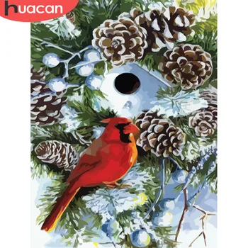 

HUACAN DIY Oil Painting By Numbers Bird Animal Kits Drawing Canvas Pictures By Numbers Snow HandPainted Home Decor Gift