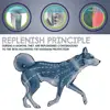 Pet Products