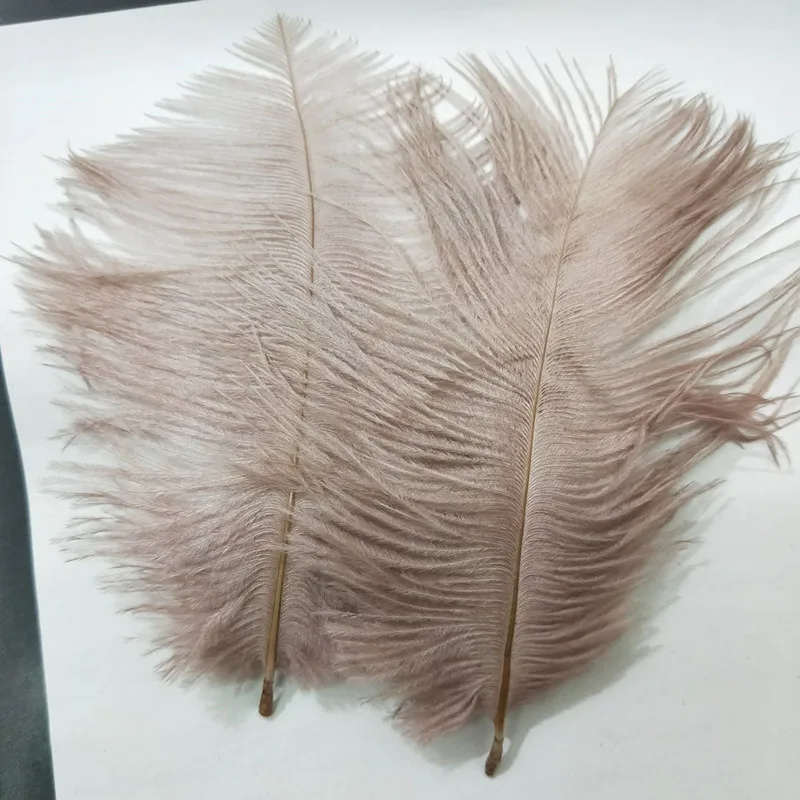 

Holiday Decorations 10pcs beautiful Light brown ostrich feathers 6-8 inches/15-20 cm wholesale decoration