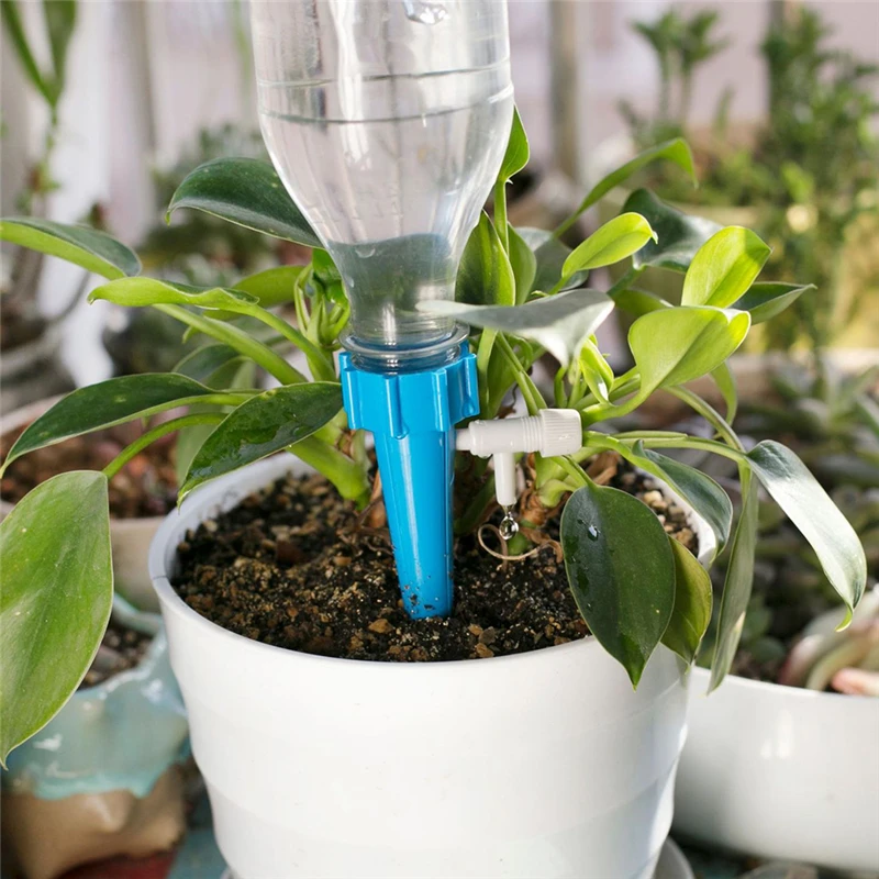 Automatic Watering System Plants Indoor Auto Watering System Indoor Plants 6pcs Aliexpress