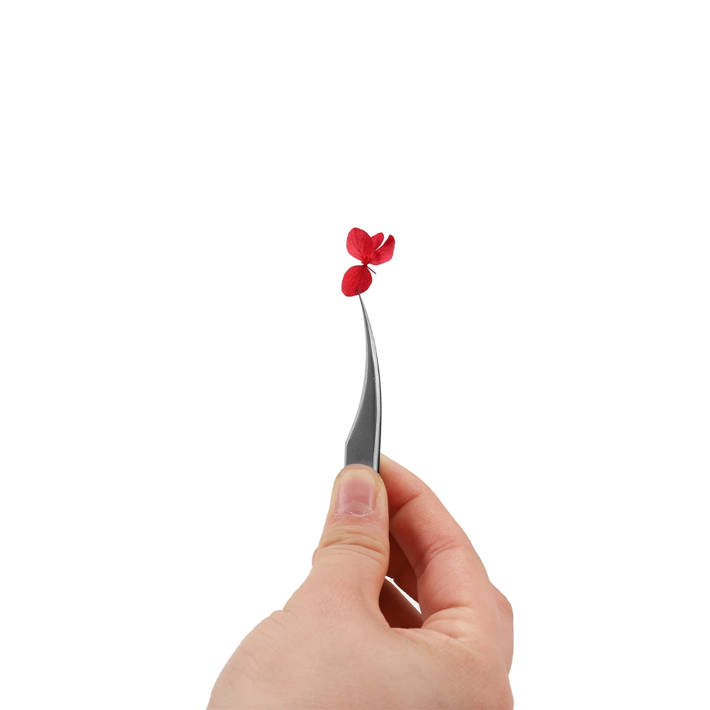 1Box Dried Flowers Dry Plants for Rsein Molds Fillings Epoxy Resin Pendant Tweezers Jewelry Making Craft DIY Nail Art Decoration
