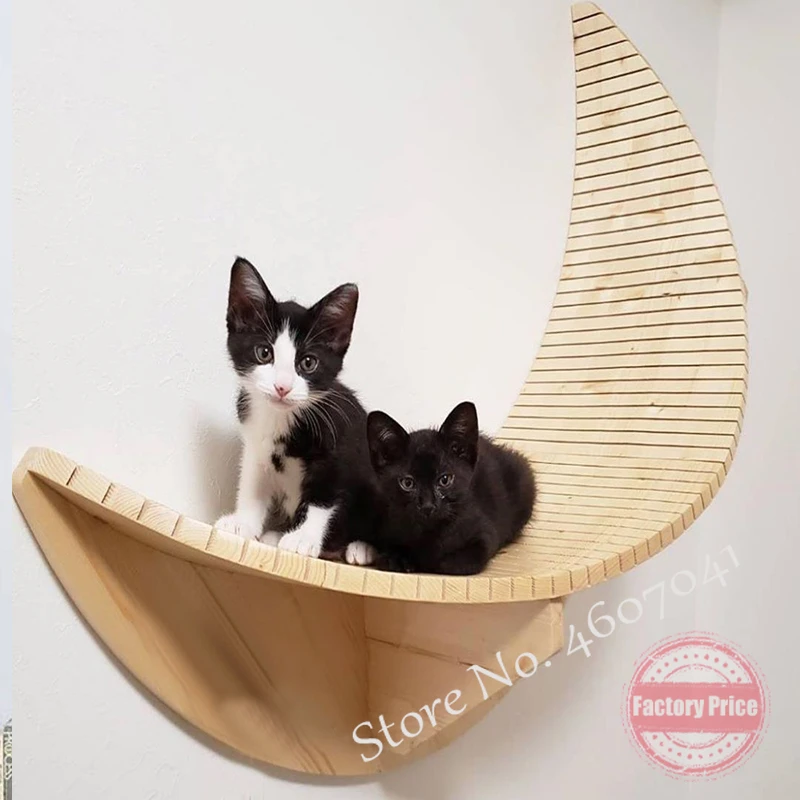 Cat climbing shelves alcostone.ir