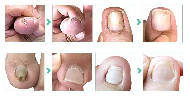 21697458734_129583247 - 副本