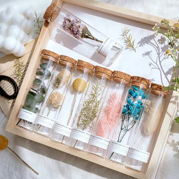 

8PCS/set Random Dried Flowers With Transparent Test Tube Ornaments DIY Home Decoration Supplies