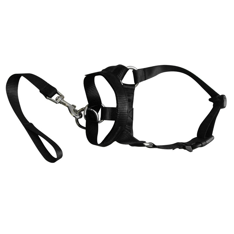 DN0570B (2)