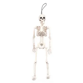 

Full Body Hanging Adult Skeleton Halloween Props Scientific Bones Models Realistic Posable Skull Party Building Decor