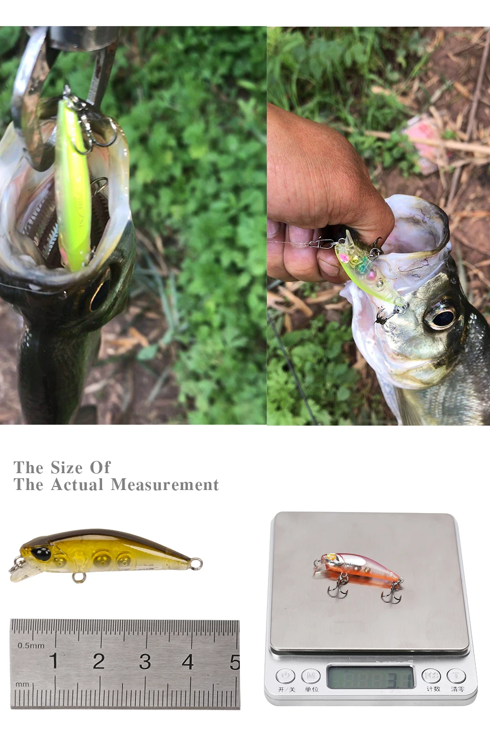 HTB1q7SzXODxK1RjSsphq6zHrpXae