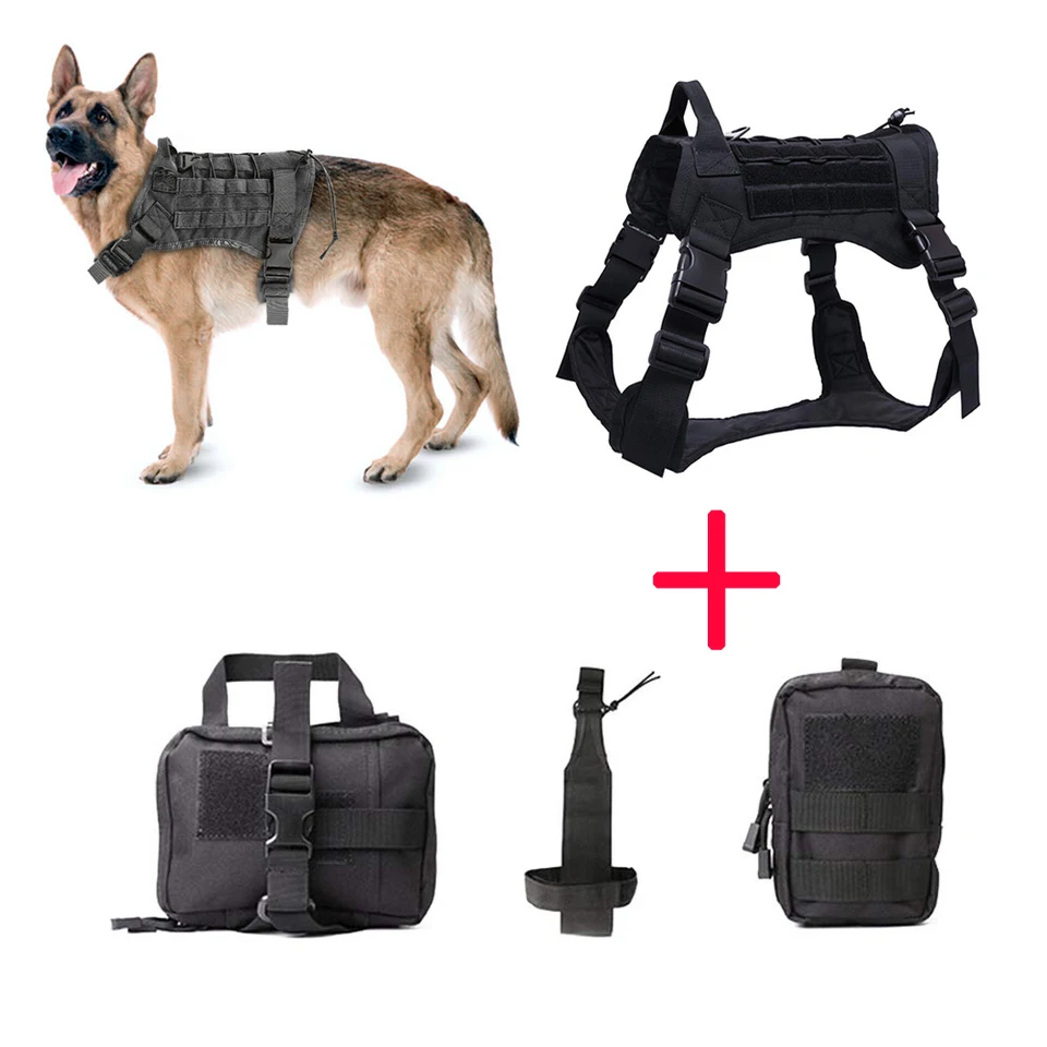 hunting dog water bottle