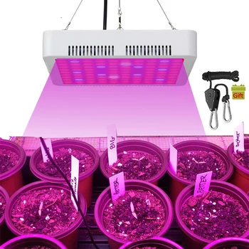 

Grow Tent 1000W LED Grow Light Lamp For Plants Phyto Lamp Full Spectrum Led Fitolampy Growing For Seedling Timer Adjustable Rope