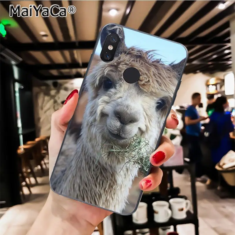MaiYaCa Cute Animal Alpaca lama Llama Colorful Phone Case for Xiaomi Redmi8 4X 6A Redmi Go Redmi5 5Plus Note7 8ProA1 A2Lite - Цвет: A12