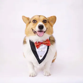 

French Bulldog Corgi Dog Necktie Male Collar Wedding Costume Cosplay Bow tie Pet Accessories Poodle Bichon Pug Boy Apparel ZZC04