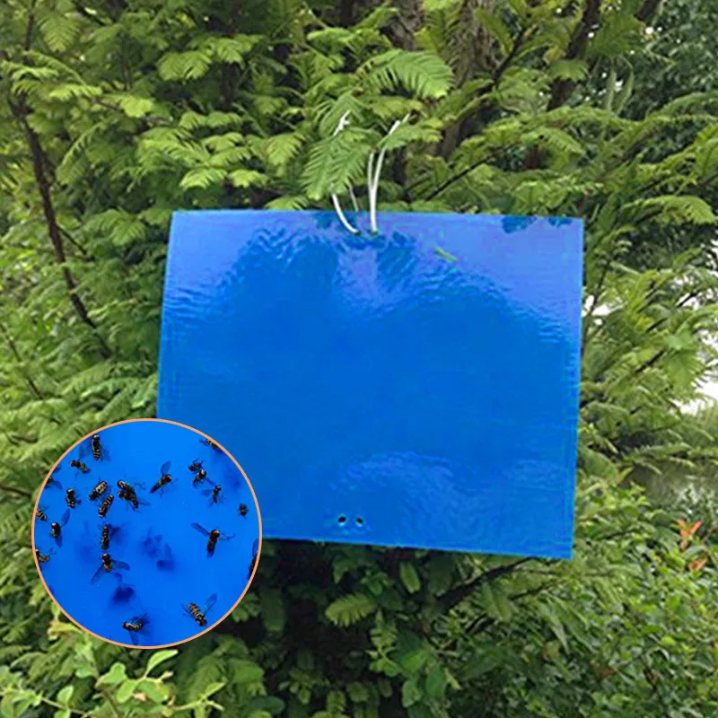 SOLEDI 20pcs удобный убийца вредителей двусторонний фруктовый грибок Экономичные прочные ловушки для мух тля открытый синий доска