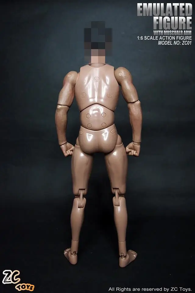 Игрушки ZC 1/6 Мужская фигурка модель тела игрушка стандартная мышечная фигурка 12 ''F коллекция