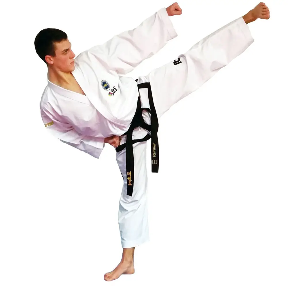 Rare Associate Instructor TKD Tae Kwon Do Martial Arts MMA Gi Uniform Patch 510 