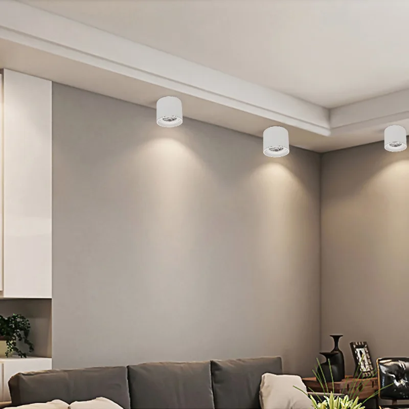 Dimmable-LED-spotlight-5W7W10W15W20W-110v-220v-downlight-angle-adjustable-ceiling-type-living-room-bedroom-household-spotlight (2)