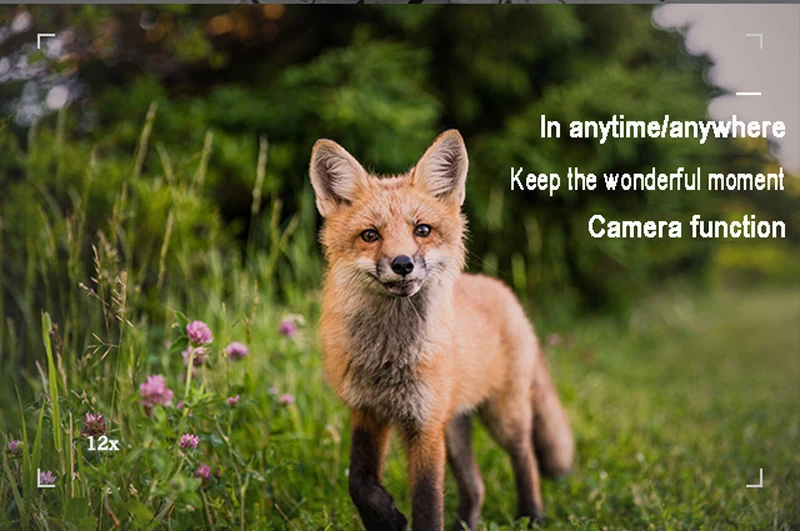 Hab8e578a44884f08bbff63e07f3871dbk