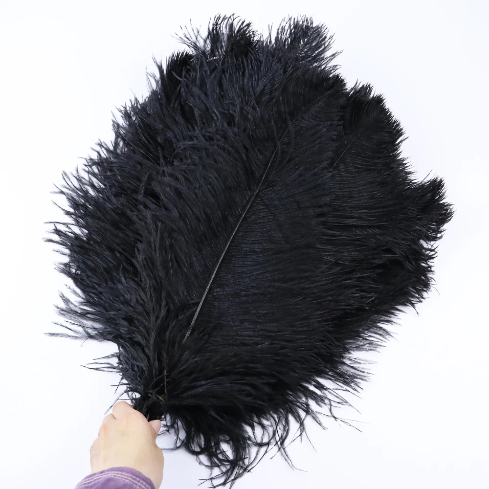 TS0145014 45-50cm ostrich feathers 4