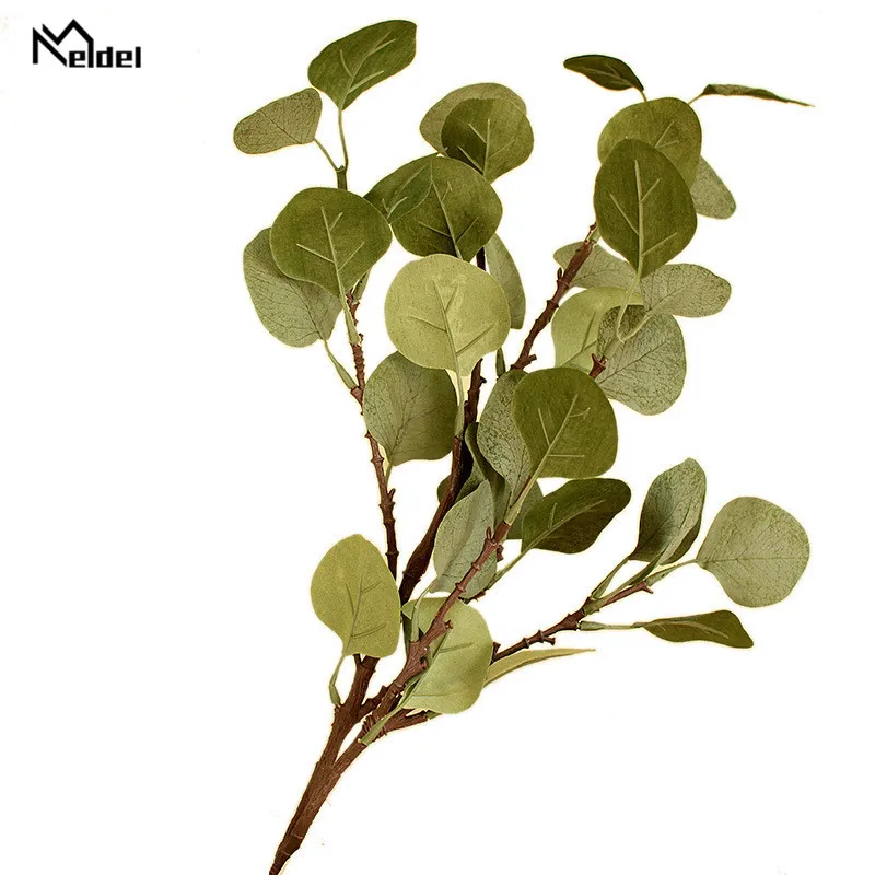 9095733671_1973574989