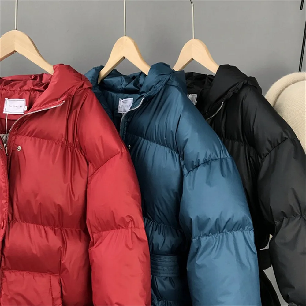 Winter Thicken Coats Women Parkas 2019 New Casual Hooded Loose Down Jacket Female Warm Cotton Padded Winter Coat Women Z1350 (12)