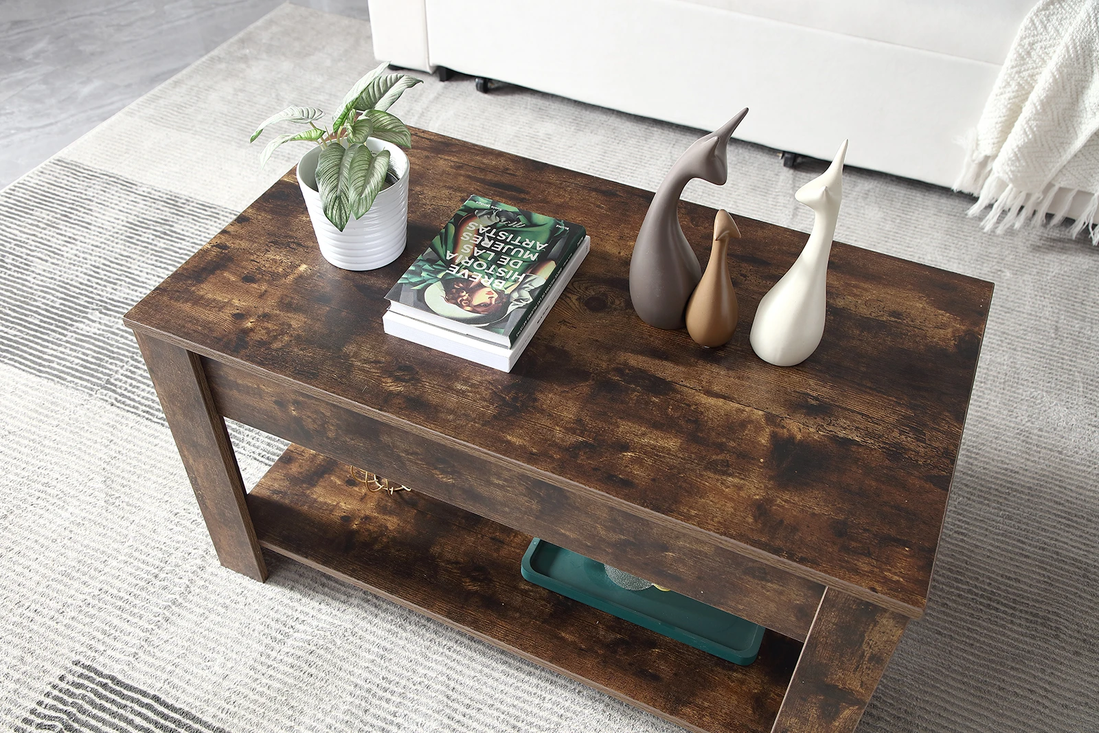 H4831199ce8ba4acfbe9a03242000fd7cK Small Modern Coffee Tables with Storage for Living Room Wood Lift Top Center Table Farmhouse Mallzona