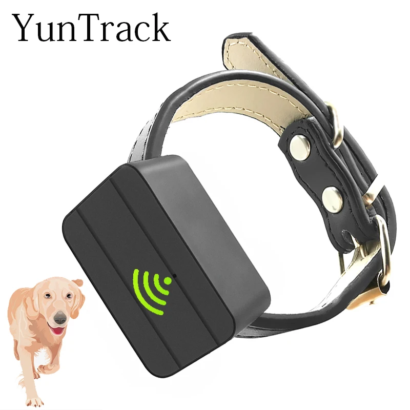anti theft dog collar