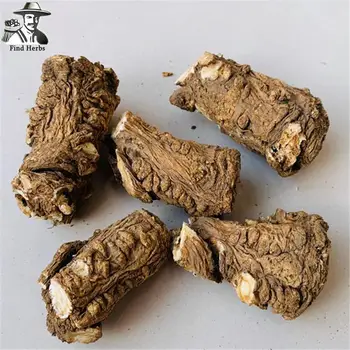 

Head Radix Angelicae Sinensis, Chinese Angelica Root, Dong Quai, Dang Gui Tou