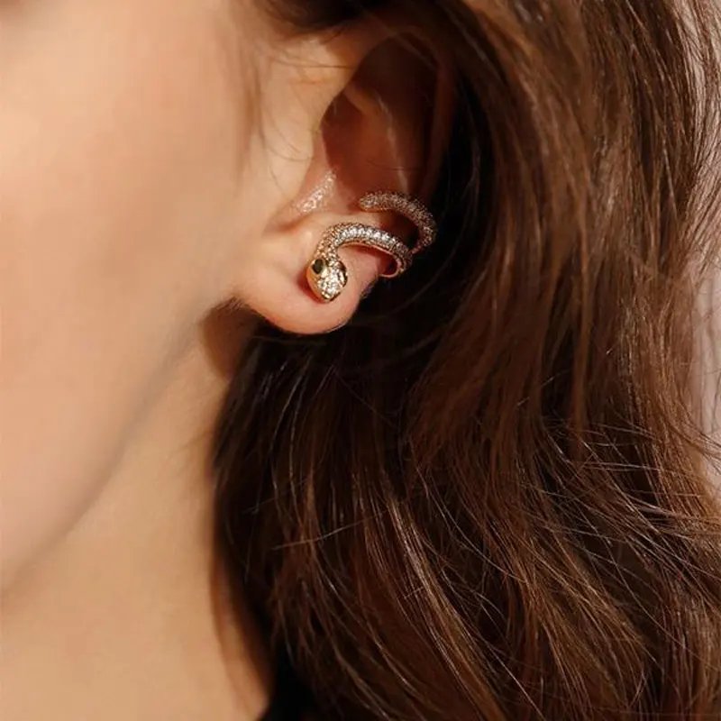 

Jewelry Snake Climbers Earrings Best Girf for Girl
