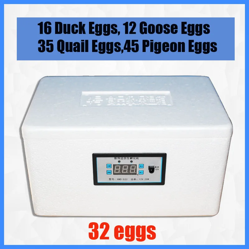 32 eggs