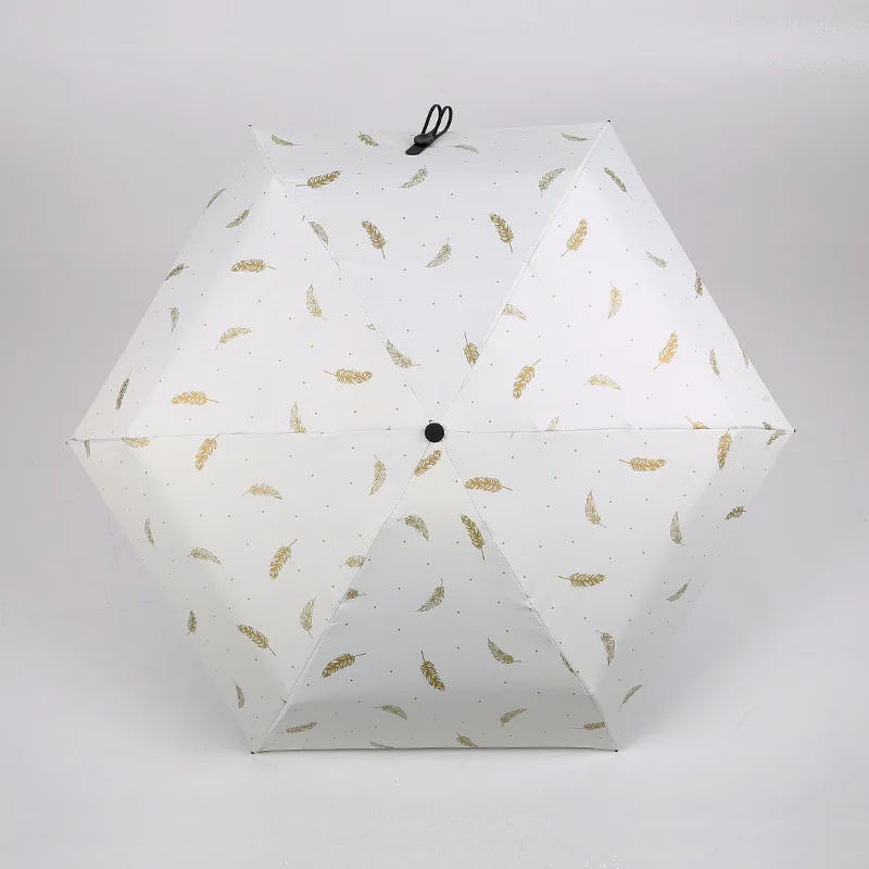 9080179391_149654765 (1)