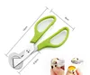 Creative Stainless Steel Cut Whisk Egg Apparatus Pigeon Quail Egg Scissor Bird Opener Kitchen Tool Clipper Gen Eggshell Cutter ► Photo 3/6