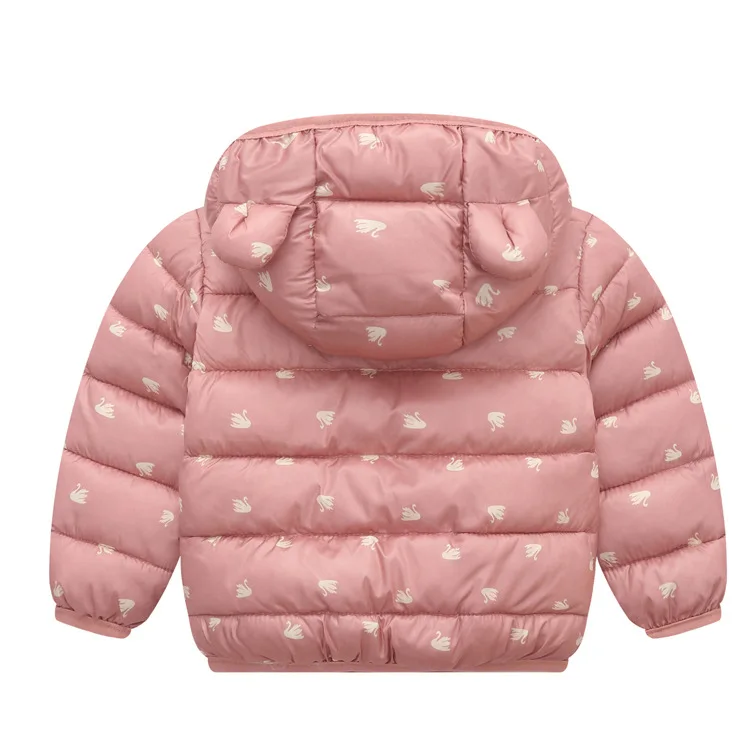 11524203482_167822268