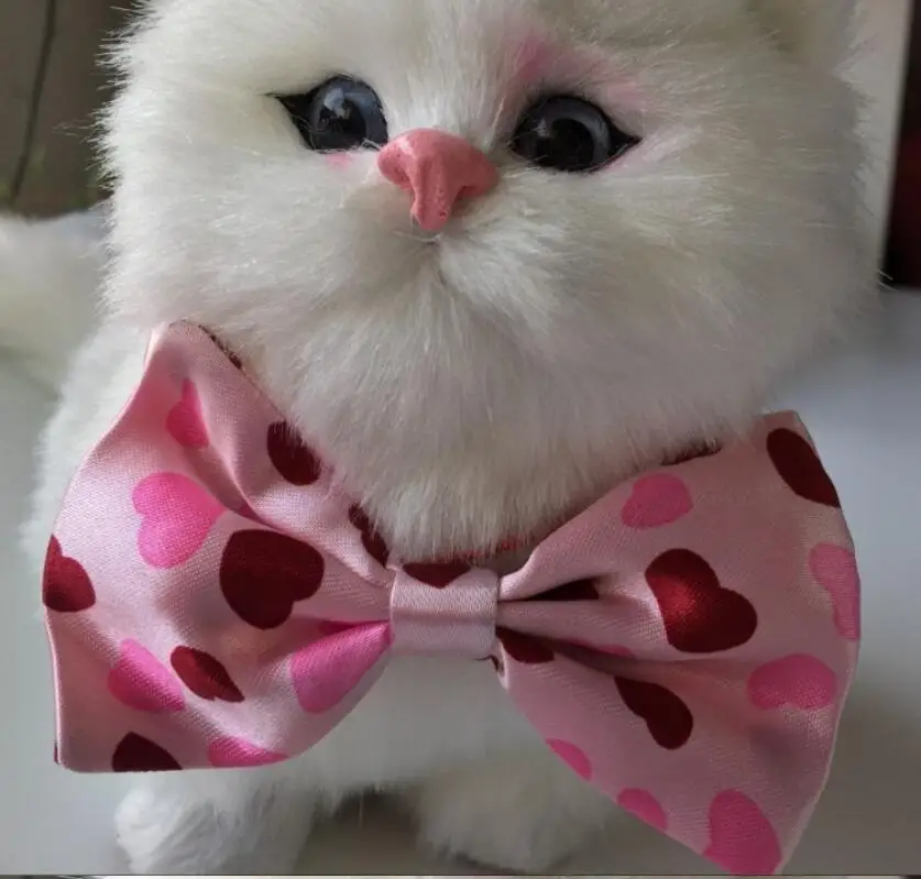 QQ截图20191211120545