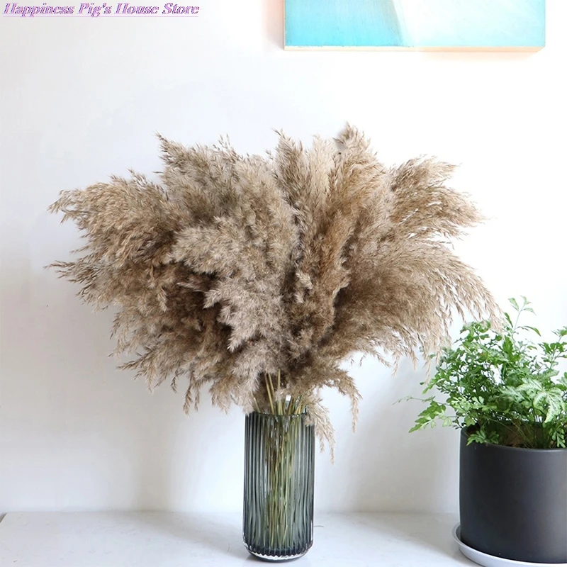 5PCS 80CM  Natural Reed Dried Flower Big Pampas Grass Wedding Flower Decoration