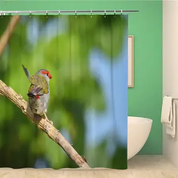 

Bathroom Shower Curtain Red Browed Eye Birdwatching Birding Bird Photography Animal Fauna Polyester Fabric 72x78 inches