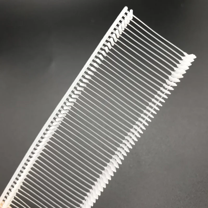 660002941246512160
