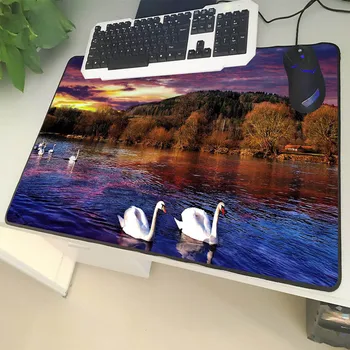 

XGZ Landscape Large Size Mouse Pad Lock Side Lake Swan Play Water Pattern Laptop PC Table Mat Rubber Universal Non-slip