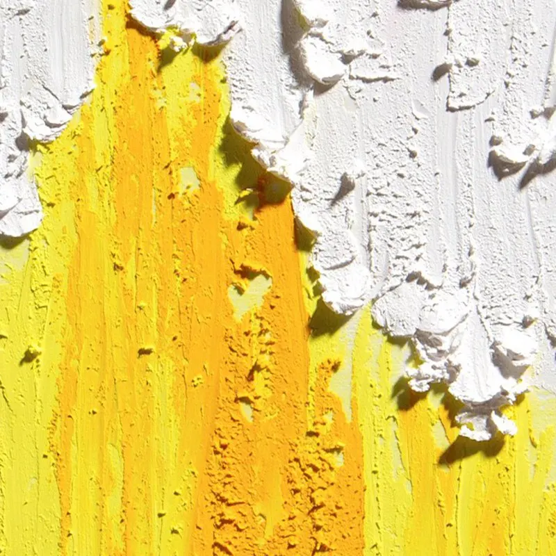 O1CN01kxJvvZ1cA4CDzkP8X_!!2200692933559