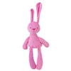 Pink Rabbit