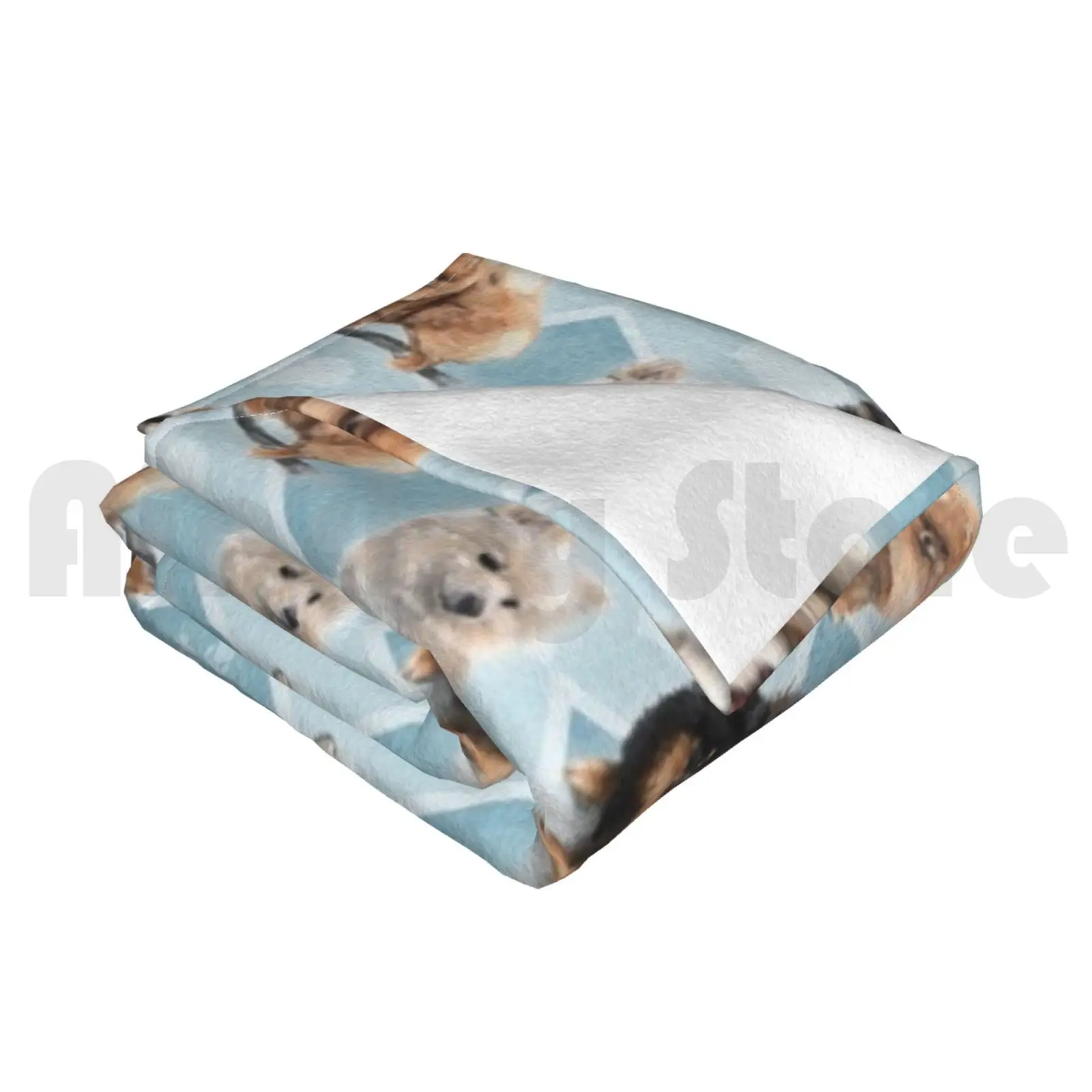 ���޶�Ͼ� �м� ������ 75 Pom ���� ���޶�Ͼ� �峭�� �� ǰ�� ������, ������