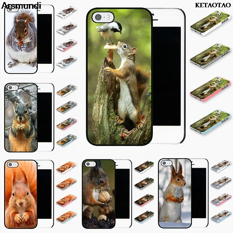 KETAOTAO Squirrel Funny Cute Nuts Phone Cases for iPhone 4S 5C 5S 6S 7 8 SE Plus X XR XS Max Case Soft TPU Rubber Silicone |