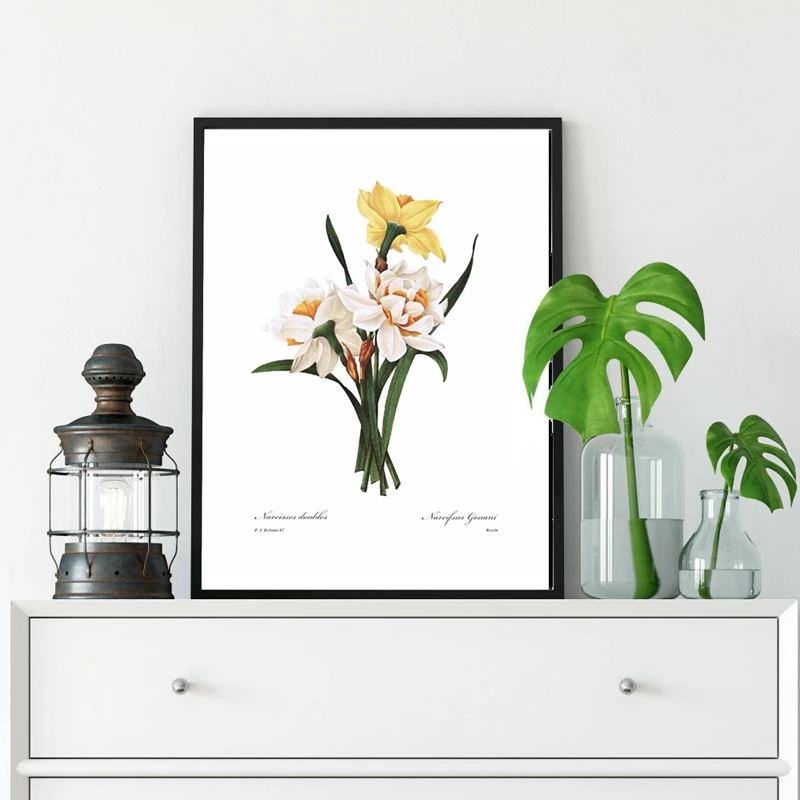 Daffodil-Botanical-Canvas-Poster-Spring-Wall-Decorative-Picture-Kitchen-Cottage-Bedroom-Painting-Prints-French-Living-Room (1)