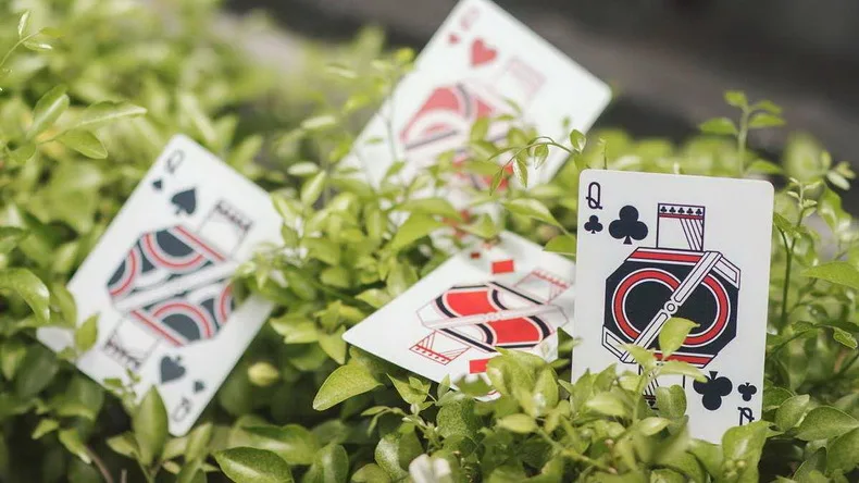 Hui qi Poker Ludwig Card Vigor от bombmagic импортная Коллекция Цветочная огранка игральные карты
