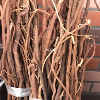

Ngryise 100Gram A Set Dictamnus dasycarpus qianjinbo