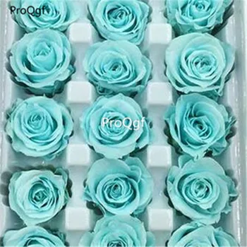 

Ngryise 1000Pcs A Set skyblue rose