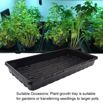 

1PC Plant Growing Trays Greenhouse Hydroponics Seedlings Plant Germination Seed Tray Seedling Starter Accessories Trays