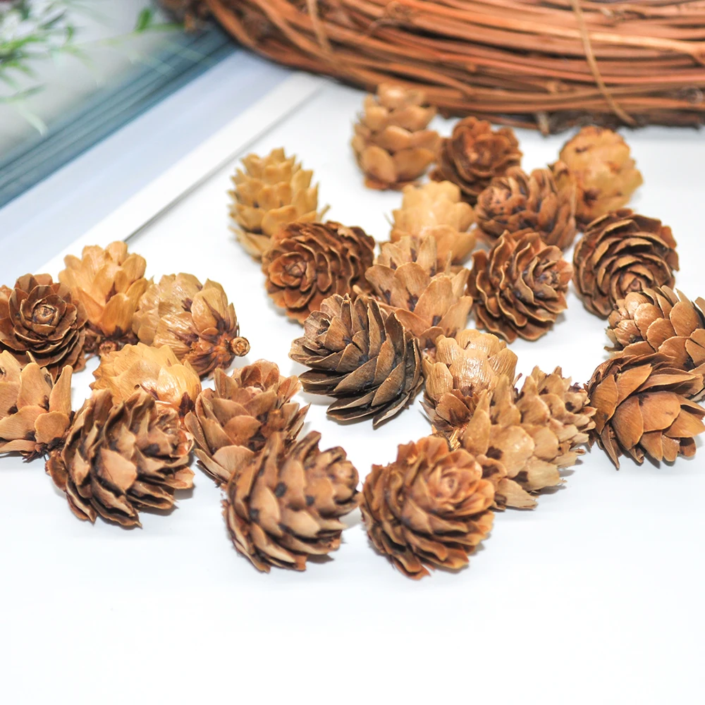 Pinecone (11)