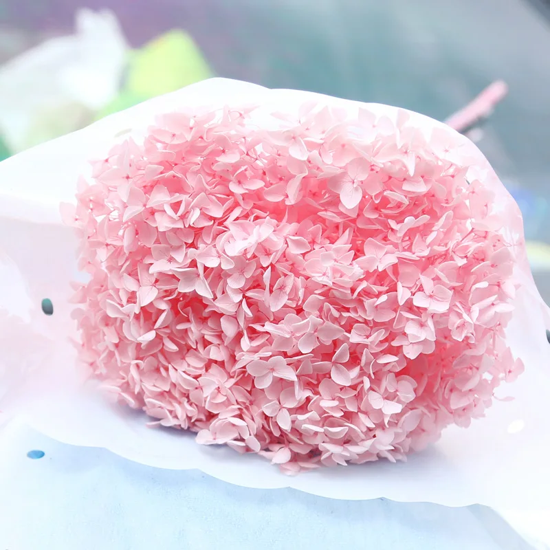 

Natural Dried Flowers Preserved Hydrangea Branch Head Can Be Matched With Valentines Day Gifts Home Decoration Shooting Props