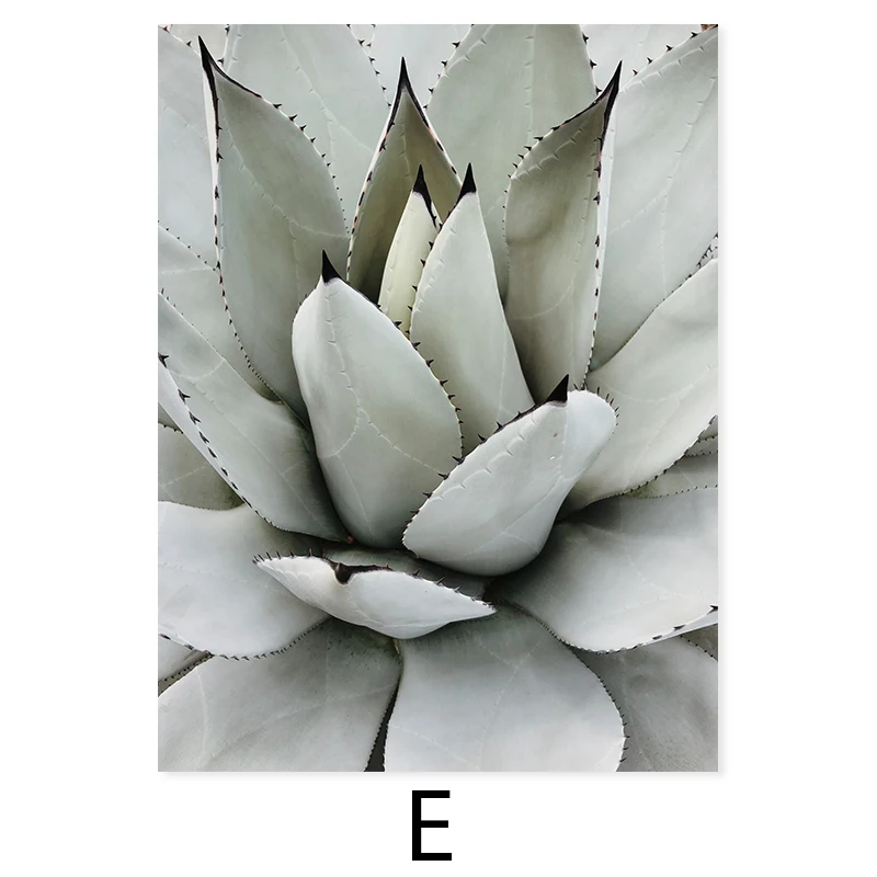 Modern-Swimming-Pool-Agave-Maldives-Beach-Seascape-Canvas-Painting-Wall-Art-Prints-Poster-Picture-Living-Room (8)